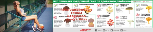 метадон Богданович